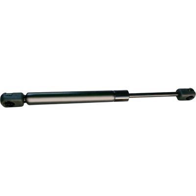 AMORTECEDOR CAPO DUSTER 11/20 OROCH 15/ | COD FABR 1917056 19170.56 AMORTECEDOR CAPO DUSTER 11/20 OROCH 15/ | COD FABR 1917056 19170.56