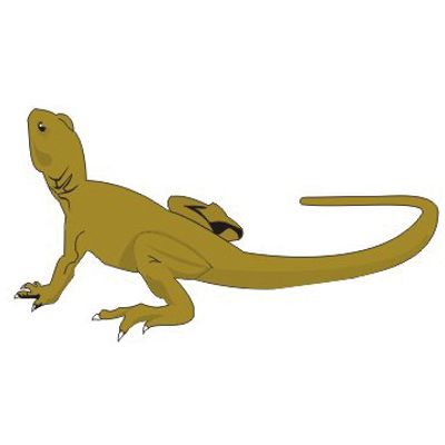 ADESIVO FAMILIA FELIZ LAGARTO 5PCS | COD FABR AN015 28504.54 ADESIVO FAMILIA FELIZ LAGARTO 5PCS | COD FABR AN015 28504.54