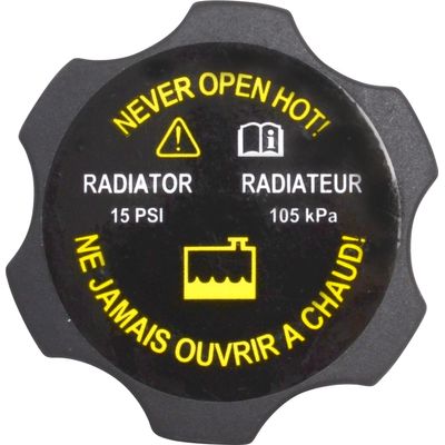 TAMPA RADIADOR S10 12/14 /TRAILBLAZER 13/13 1.0 BAR | COD FABR 0710085 02706.10 TAMPA RADIADOR S10 12/14 /TRAILBLAZER 13/13 1.0 BAR | COD FABR 0710085 02706.10