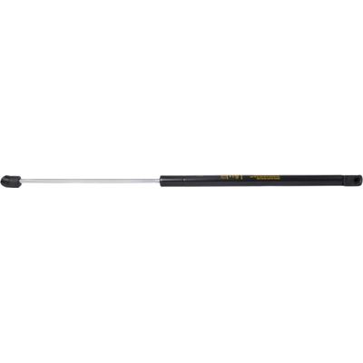 AMORTECEDOR PORTA-MALAS GOL BOLA 95/99 S/LIMP | COD FABR AP03 19109.00