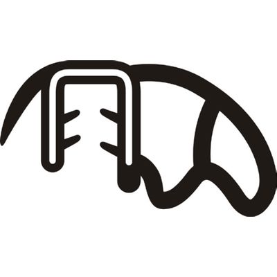 BORR PT CAM CONSTELLATION 05/ DELIVERY 18/ C/ 4.2M | COD FABR 8500903 85009.03 BORR PT CAM CONSTELLATION 05/ DELIVERY 18/ C/ 4.2M | COD FABR 8500903 85009.03