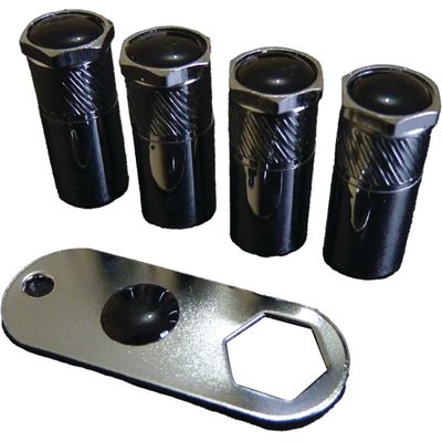 ANTI FURTO VALVULA S/EMBLEMA | COD FABR 10499 1 00402.33 ANTI FURTO VALVULA S/EMBLEMA | COD FABR 10499 1 00402.33