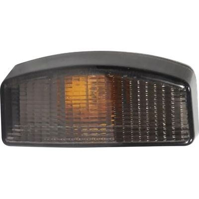 LANT DIANT GOL 82/86 VOY/PAR/SAV FUME CUP AMBAR PLAST LD | COD FABR 0124PS 01884.46