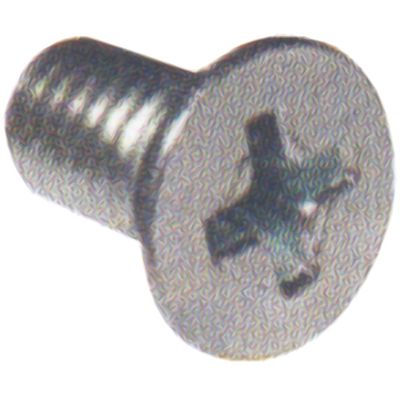 KIT PARAFUSO MACANETA VIDRO FUSCA 4X10 (10 PCS) | COD FABR 900001 60067.37