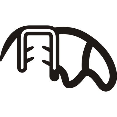 BORR PT FOX/SPACE/CROSS/AGILE/ GOL G5/G6 4.0M MAX | COD FABR 9502020 95020.20