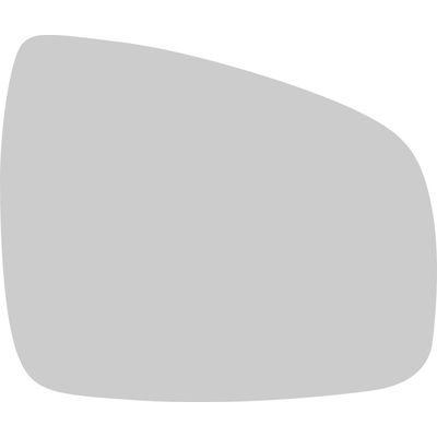 REFIL RETROV LOGAN 09/ SANDERO CONVEXO METALIZADO LD | COD FABR 1592 15501.80