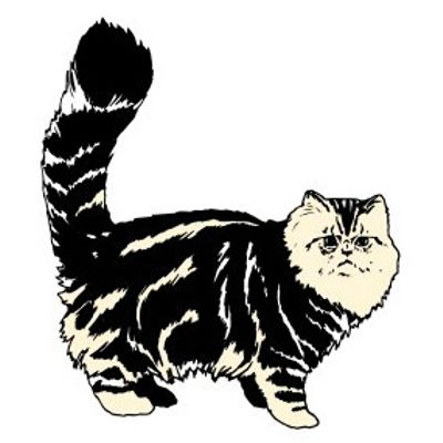 ADESIVO DECORATIVO GATO RACA 5PC | COD FABR AN012 28504.51 ADESIVO DECORATIVO GATO RACA 5PC | COD FABR AN012 28504.51