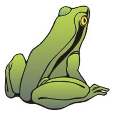 ADESIVO DECORATIVO SAPO 5PC | COD FABR AN014 28504.53 ADESIVO DECORATIVO SAPO 5PC | COD FABR AN014 28504.53