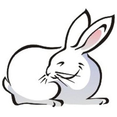 ADESIVO DECORATIVO COELHO 5PC | COD FABR AN018 28504.57