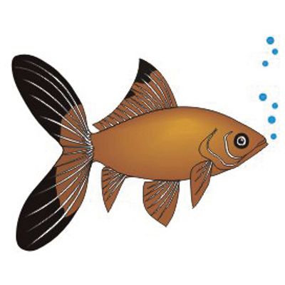 ADESIVO DECORATIVO PEIXE 5PC | COD FABR AN017 28504.56