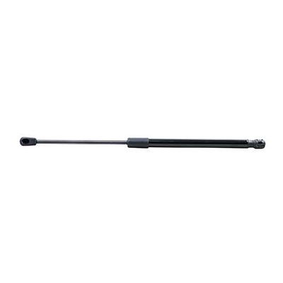 AMORTECEDOR CAPO DUSTER 11/20 | COD FABR 1201124 00435.56