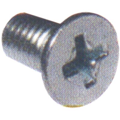 KIT PARAFUSO FIXACAO MACANETA PASSAT/GOL (10 PCS) | COD FABR 900018 60067.26