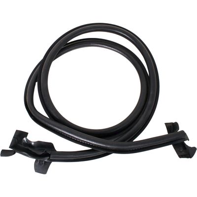 BORR PT TRAS MASTER VERTICAL ENTRE PT ORIG | COD FABR 9910029 99100.29