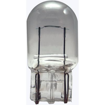 LAMP PINGAO W21W 12V 21W W3X16D BASE VIDRO STAND ORIG 7505 | COD FABR 7016963 72077.33
