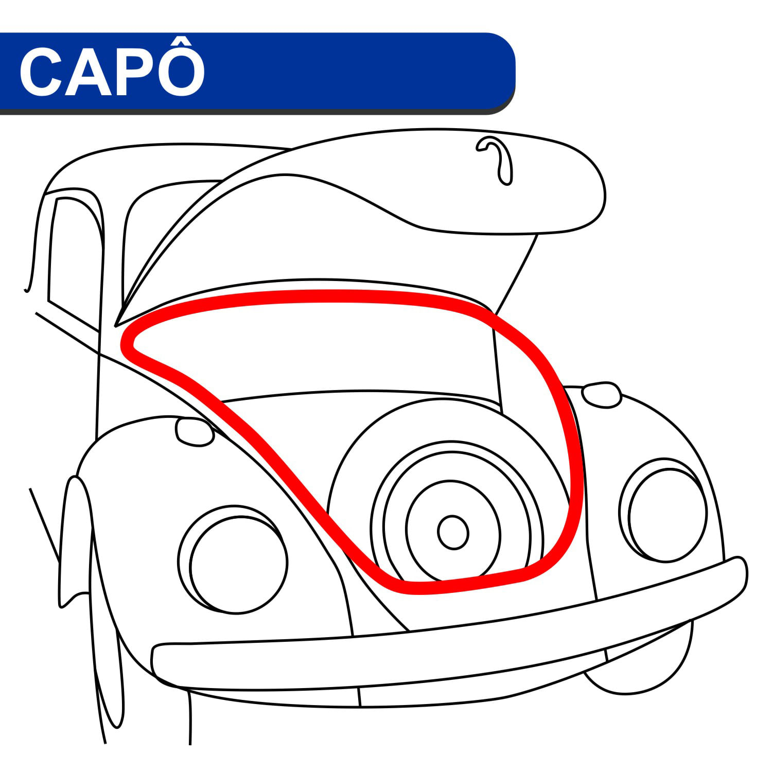 BORR CAPO FUSCA COLAR CANTO MOLDADO DIANT | COD FABR 8550102